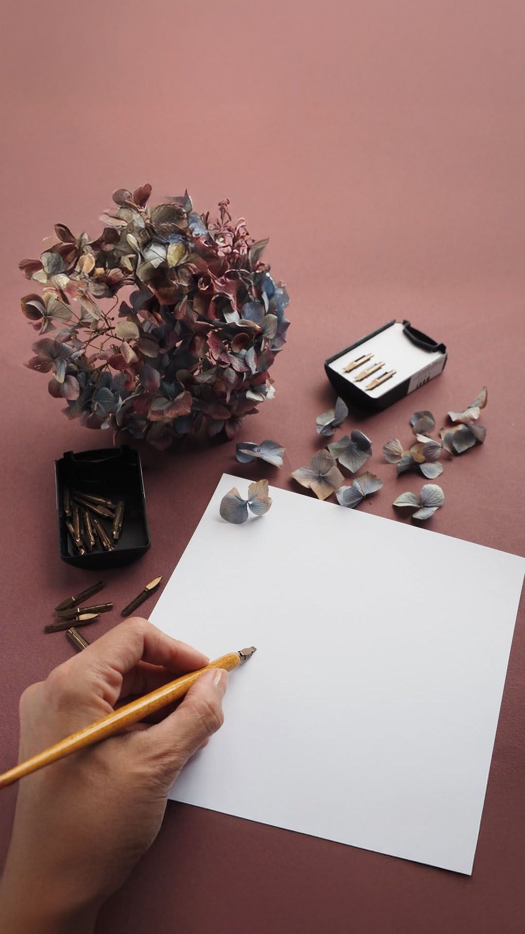 A variety of dip pen nibs and pen holder