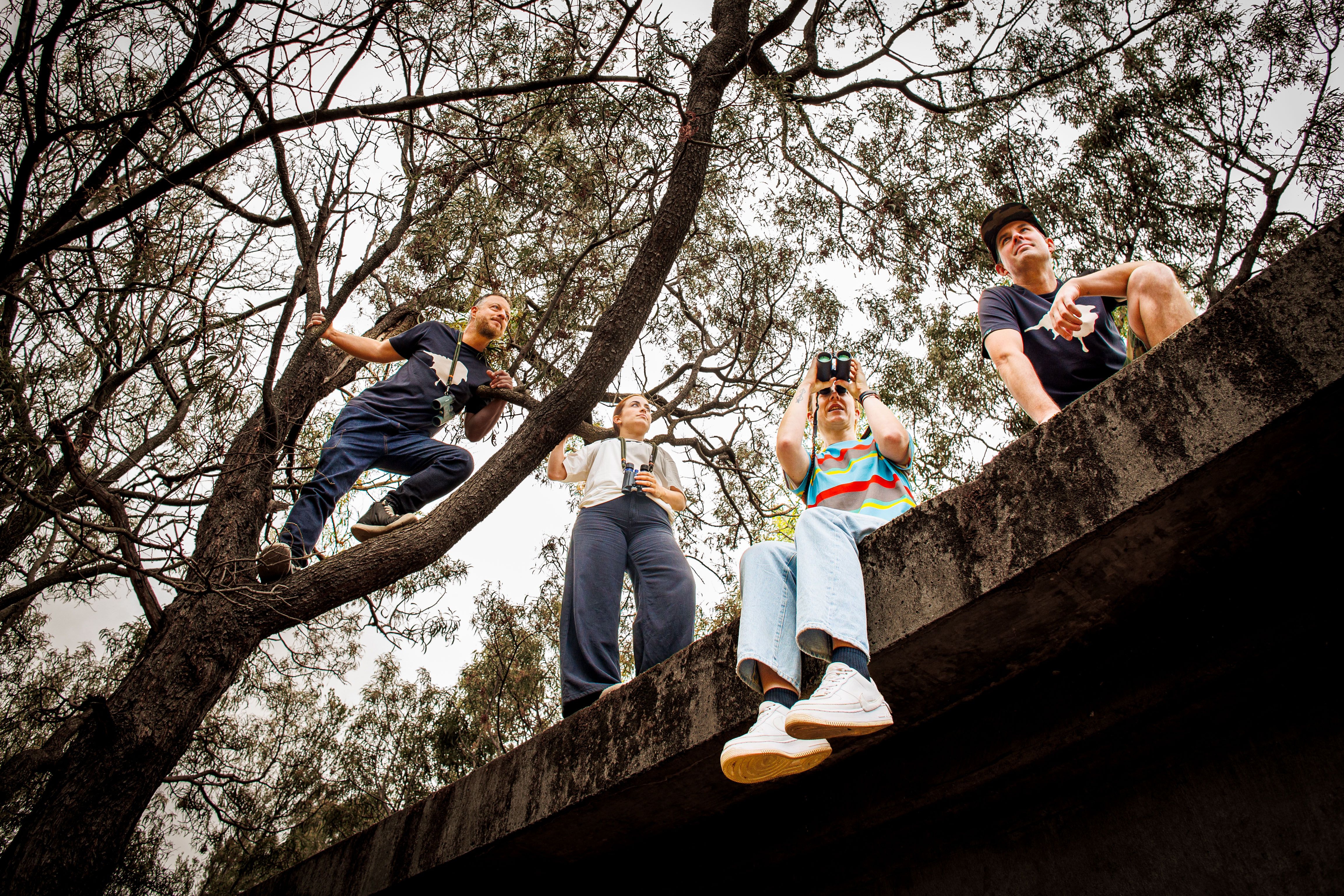 People looking for birds in trees