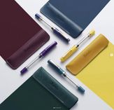 four TWSBI fountain pens and matching coloured pen cases